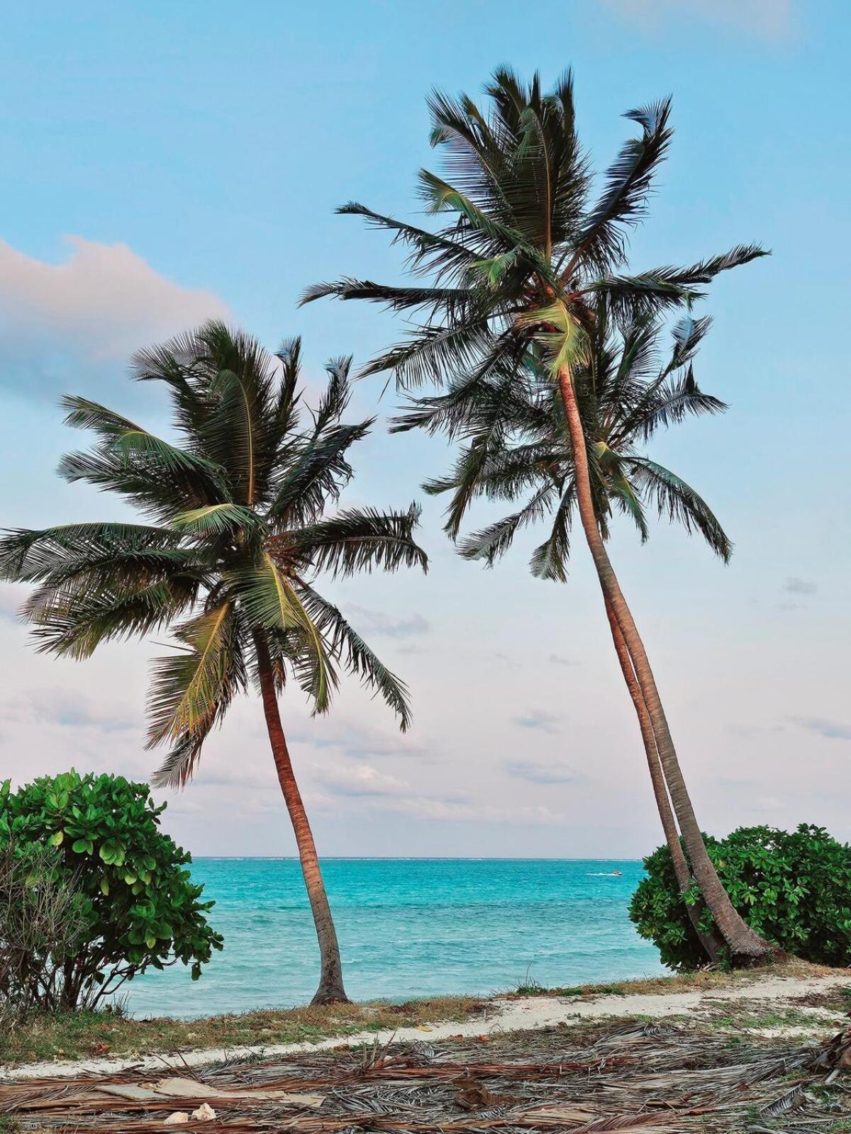 Shungi Zanzibar